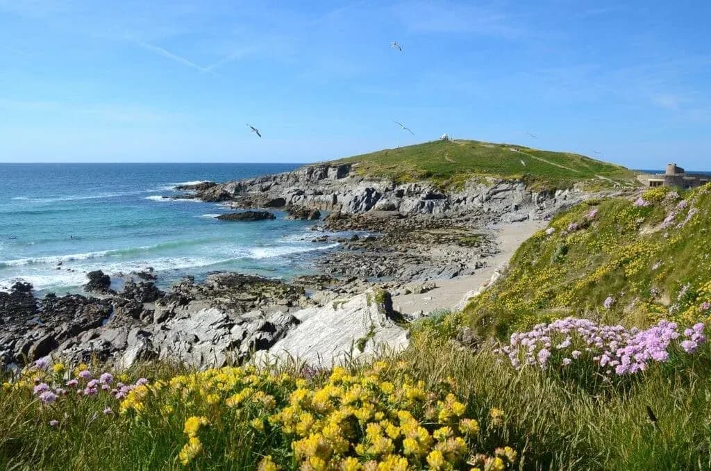 Towan Headland Little, Cornwall
