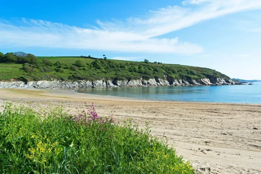 Early summer at Maenporth Beach near Falmouth, Cornwall