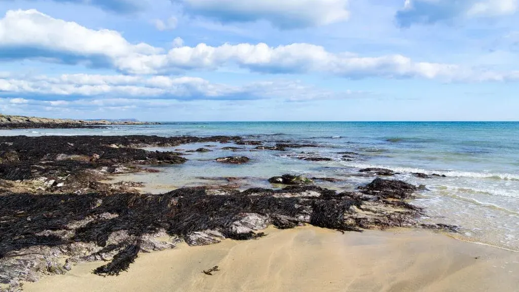 Low tide at Towan Beach, Newquay, Cornwall