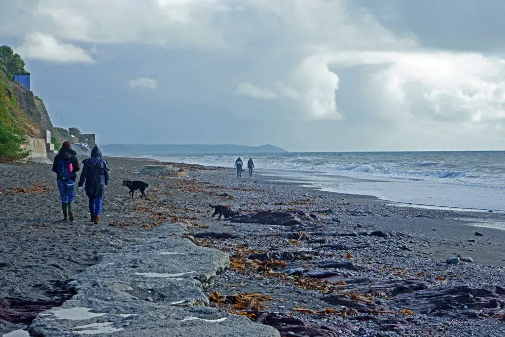 Dog walkers on Downderry Beach, South Cornwall, on a cold morning