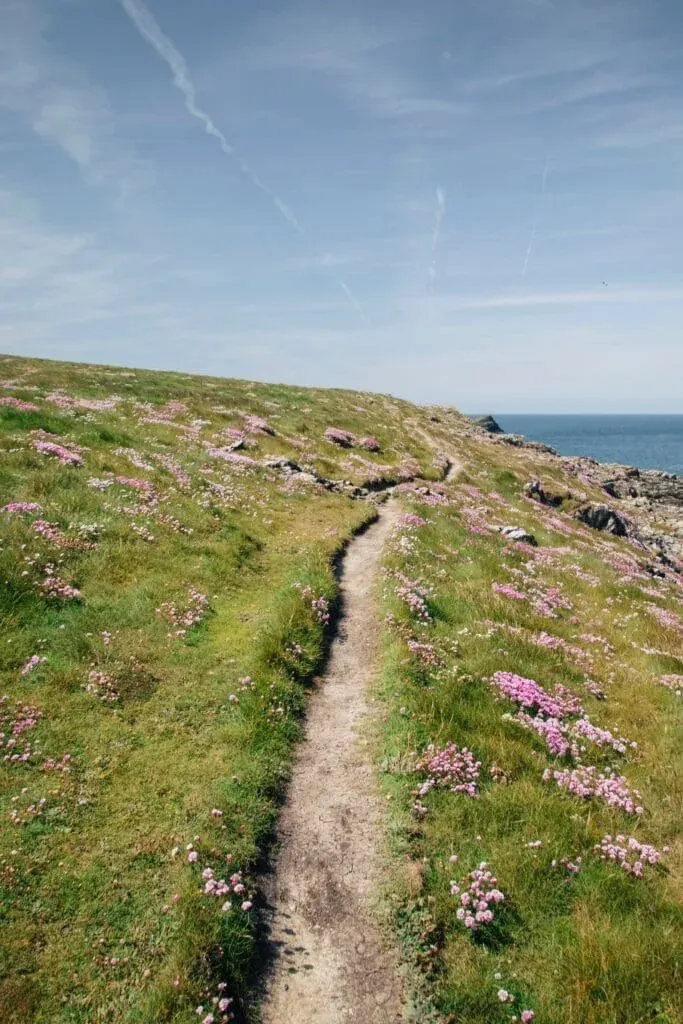 A scenic coastal trail overlooking the sea in Crantock, Cornwall, UK.