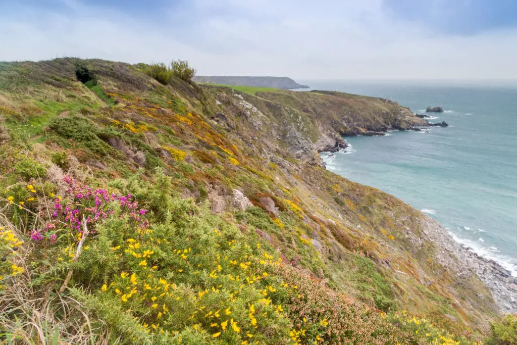 The coast path off Kennack Sands Beach, Cornwall