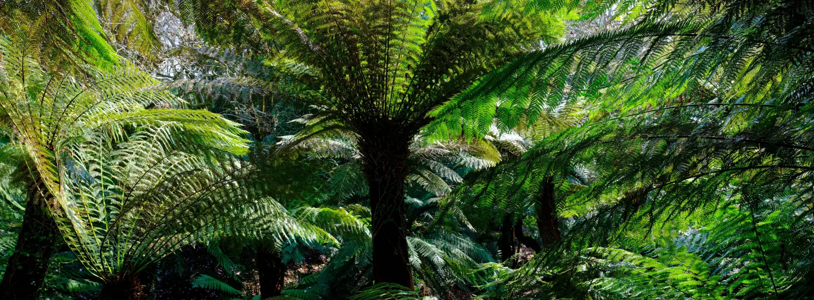 19 Secret Gardens in Cornwall You’ve Never Heard Of
