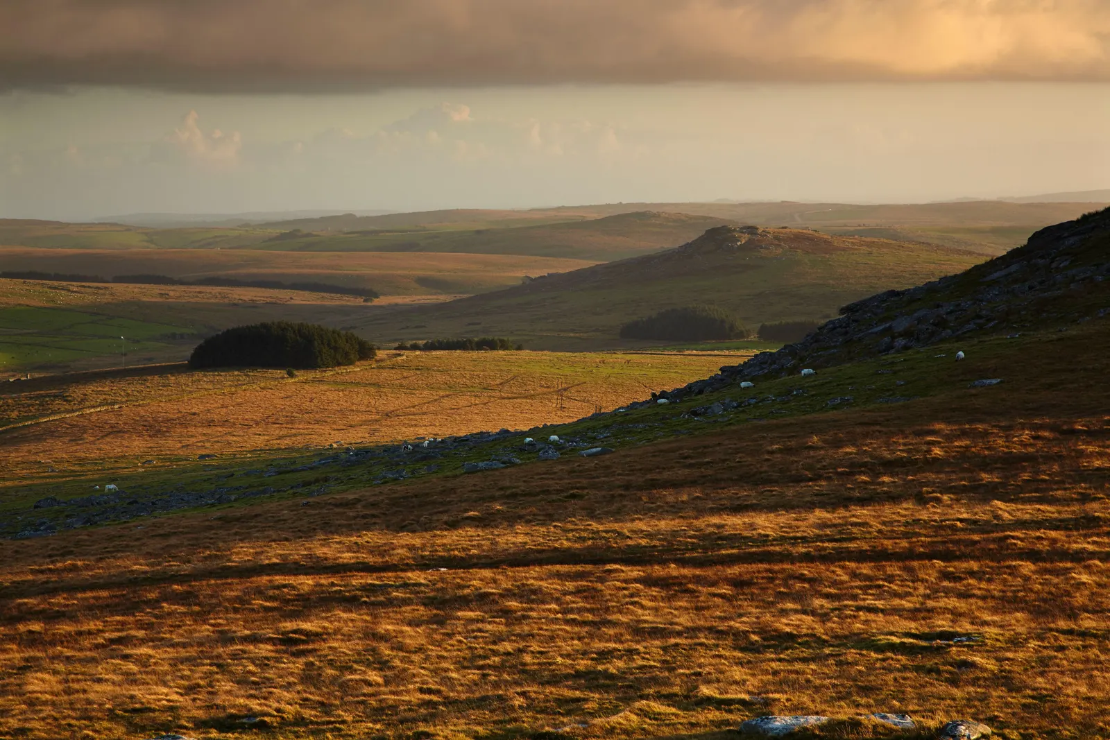 Rough Tor, Nr. Camelford, Cornwall