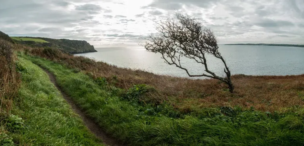 Carne Beach from the clifftop, Nares Head, Cornwall